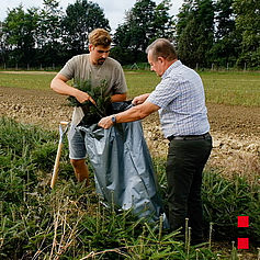 Forstgartenmitarbeiter verpacken einen Tannensetzling