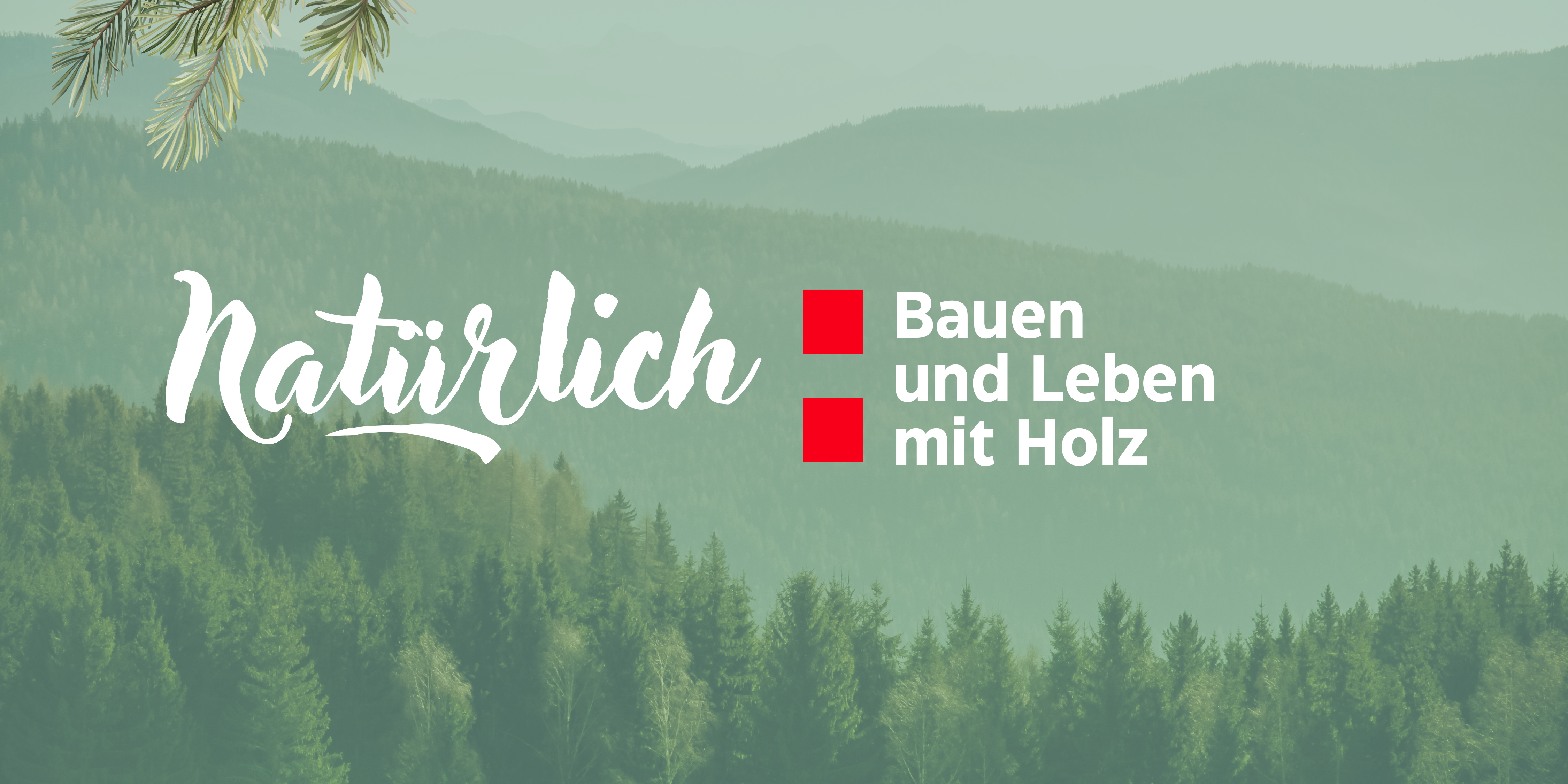 (c) Proholz-stmk.at